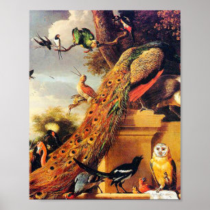 Melchior d'Hondecoeter - Vogels in een park Poster