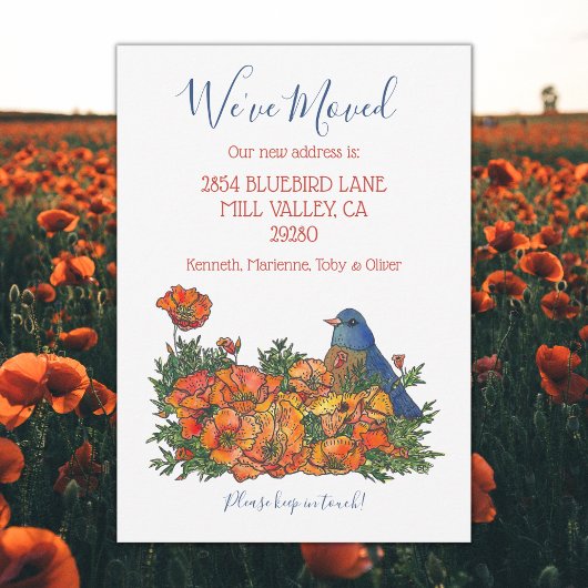 Melding nieuw Bluebird-adres