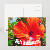 Mele Kalikimaka Briefkaart (Voorkant / Achterkant)