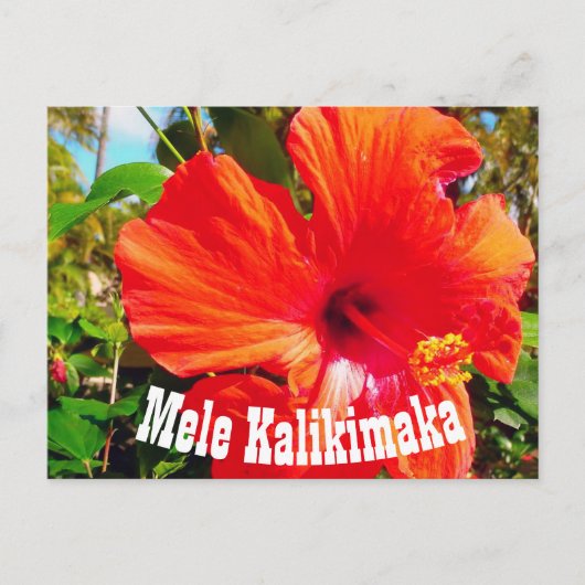 Mele Kalikimaka Briefkaart (Voorkant)