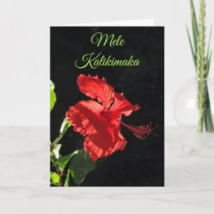 Mele Kalikimaka Kaart