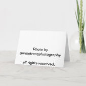 Mele Kalikimaka Plumeria Feestdagen Kaart (Achterkant)