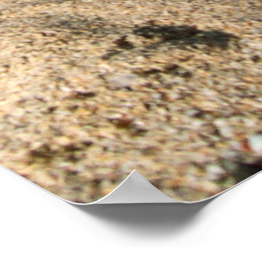 Mele Kalikimaka Teenslippers Poster (Hoek)