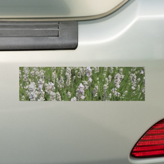 Melissa Lavender  Bumpersticker (Op auto)