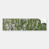 Melissa Lavender  Bumpersticker (Voorkant)