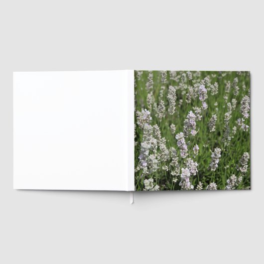 Melissa Lavender Gastenboek (Volledig)