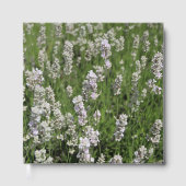 Melissa Lavender Gastenboek (Voorkant)