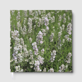 Melissa Lavender Gastenboek