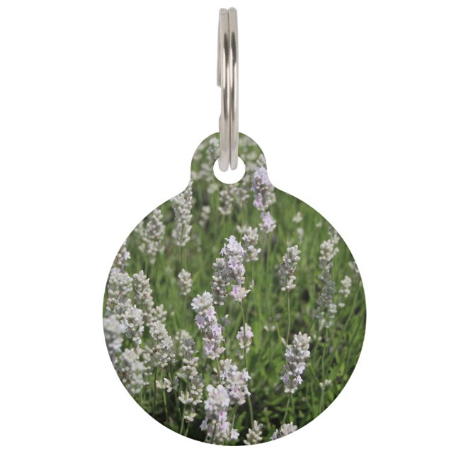 Melissa Lavender Hondenpenning Huisdierpenning (Voorkant)