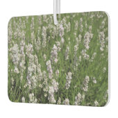 Melissa Lavender Luchtverfrisser (Links)