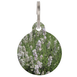 Melissa Lavender Pet Tag Huisdierpenning