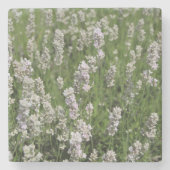 Melissa Lavender Stenen Onderzetter (Voorkant)