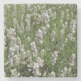 Melissa Lavender Stenen Onderzetter