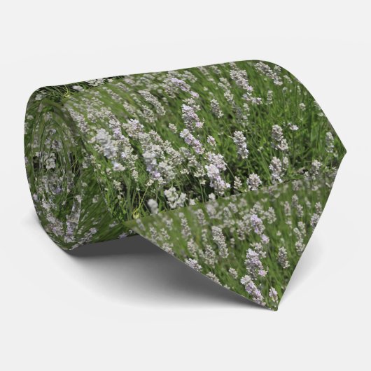 Melissa Lavender Stropdas (Opgerold)