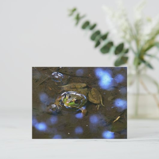 Melissa's Frog Briefkaart (Staand voorkant)