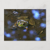 Melissa's Frog Briefkaart (Voorkant)