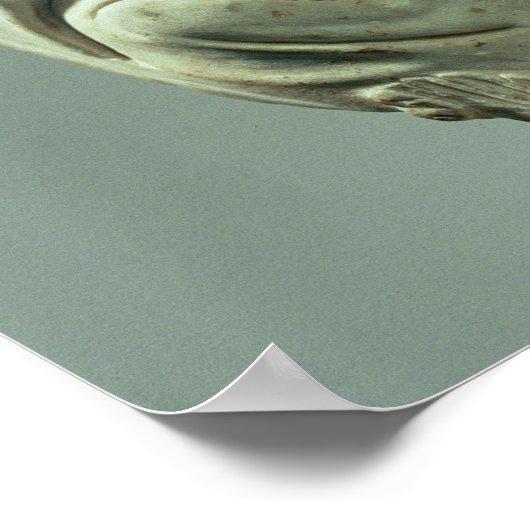 Melitene, priester van de Moeder der Goden, Rom Poster (Hoek)