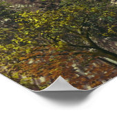 Melizods Castle Poster (Hoek)