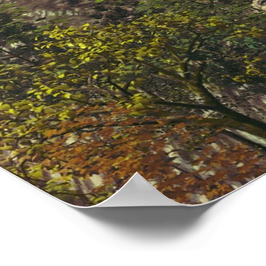 Melizods Castle Poster (Hoek)