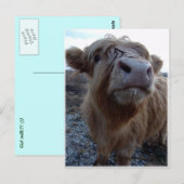 melk? briefkaart (Voorkant / Achterkant)