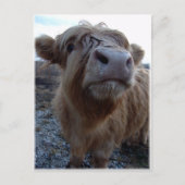 melk? briefkaart (Voorkant)