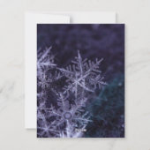 Melk en koekjes voor de Kerstman Feestdagenkaart (Achterkant)