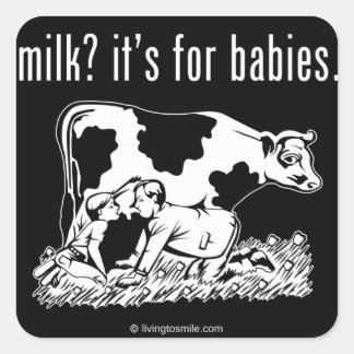 Melk? Het is voor baby's. Vierkante Sticker