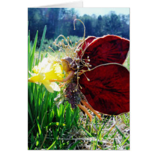 Melk in de Daffodils