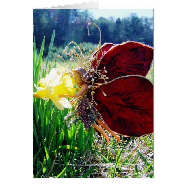 Melk in de Daffodils (Voorkant)