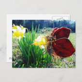 Melk in de Daffodils Briefkaart (Voorkant / Achterkant)