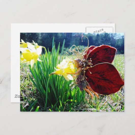 Melk in de Daffodils Briefkaart (Voorkant / Achterkant)