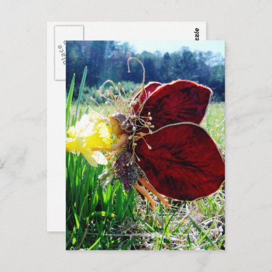 Melk in de Daffodils Briefkaart (Voorkant / Achterkant)