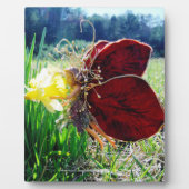 Melk in de Daffodils Fotoplaat (Voorkant)