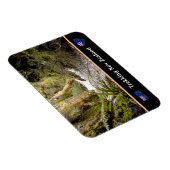 Melk Oerwoud, Kiwi-wandelen/Nieuw-Zeeland Magneet (Rechterzijde)