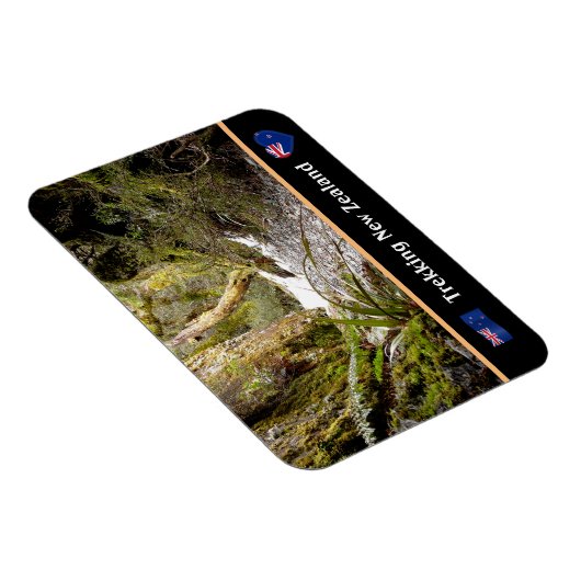 Melk Oerwoud, Kiwi-wandelen/Nieuw-Zeeland Magneet (Rechterzijde)