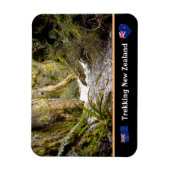 Melk Oerwoud, Kiwi-wandelen/Nieuw-Zeeland Magneet (Verticaal)