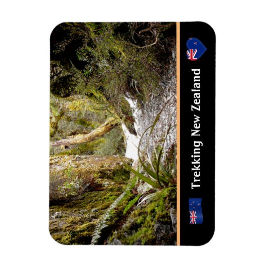 Melk Oerwoud, Kiwi-wandelen/Nieuw-Zeeland Magneet (Verticaal)