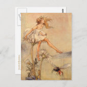 Melk op een Daisy Briefkaart (Voorkant / Achterkant)