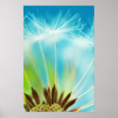 Melk Rays Poster (Voorkant)