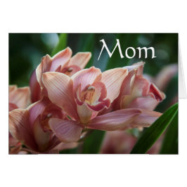 Melk Tea Orchid, mama