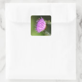 Melk Thistle Paarse Wilde Bloem Vierkante Sticker (Tas)