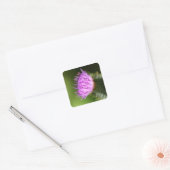 Melk Thistle Paarse Wilde Bloem Vierkante Sticker (Envelop)