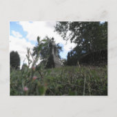 Melk Uitzicht Briefkaart (Voorkant)