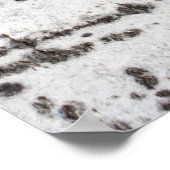 Melkbarstpatroon Poster (Hoek)