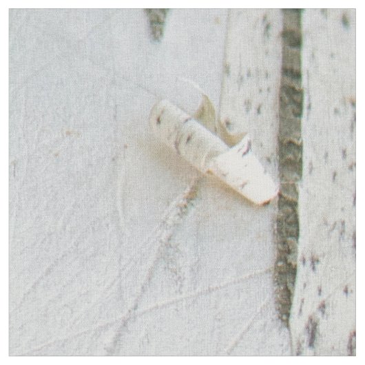 Melkbarstpatroon Stof (Close Up)