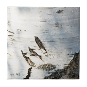 Melkbarstpatroon Tegeltje