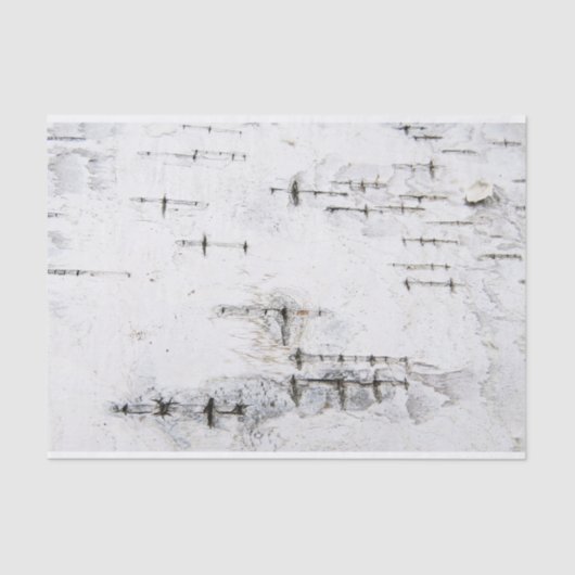 Melkbarstpatroon Tissuepapier (Voorkant)