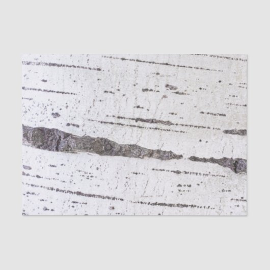 Melkbarstpatroon Tissuepapier (Voorkant)