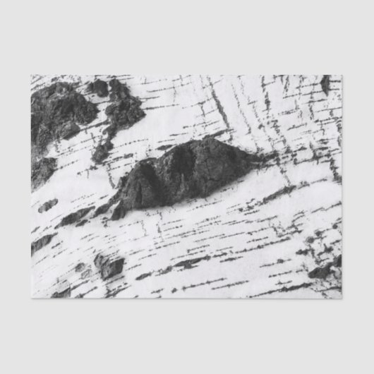 Melkbarstpatroon Tissuepapier (Voorkant)