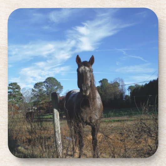 Melkchocolade bruinpaard in blauw drankjes onderzetter (Voorkant)